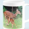 iit madras coffee mug