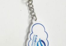 iit madras key chain