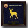 iit madras memento deer