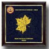 iit madras memento