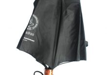 iit madras umbrella