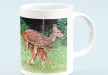 iit madras coffee mug