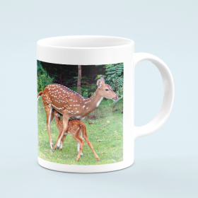 iit madras coffee mug