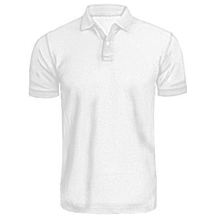 Online Customise Polo T Shirt in India - ScholarShoppe