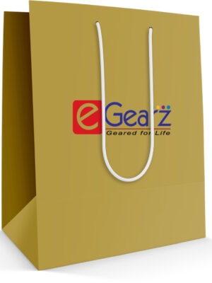 Shopping Bag - Paper