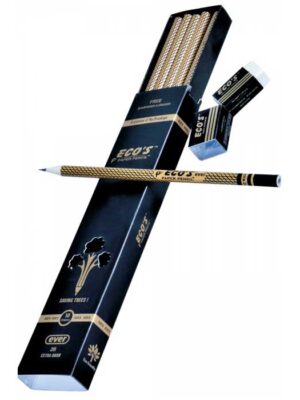 ECO'S EVER Paper Pencils - 10 Pcs Pack