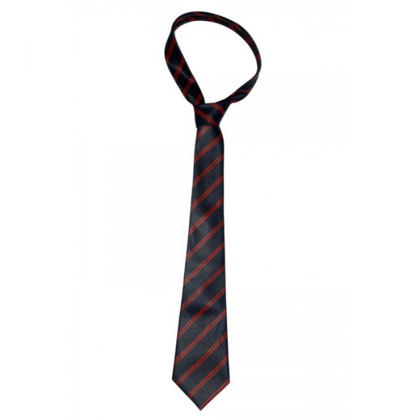 school ties