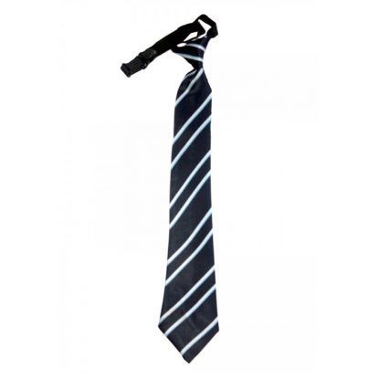 school ties