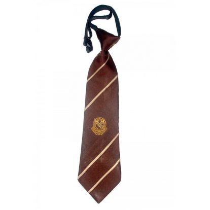 school ties