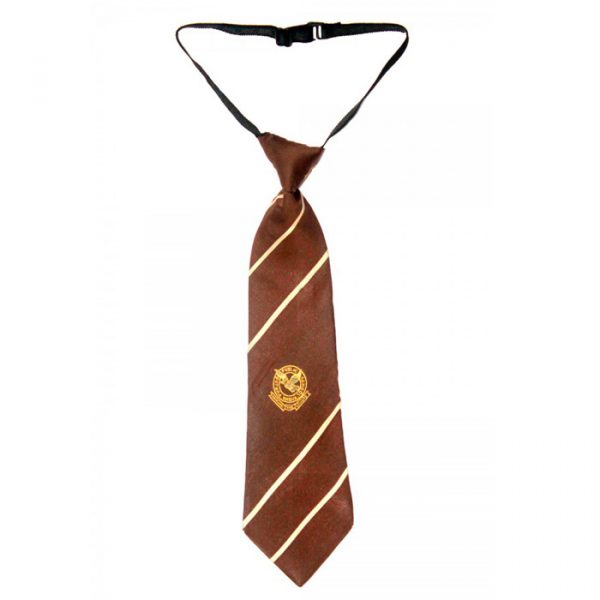 school ties