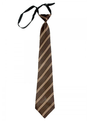 eGearz School Ties - Polyester - Maroon Strip